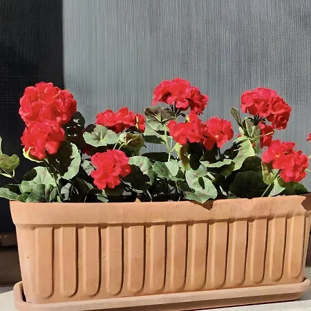 Rural Jana Apartmán Alles