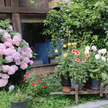 Apartment Rural Jana